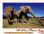 3 Carte D´elephant - 3 Elephant Postcard - Éléphants