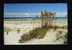 Sea Oats, Sand, And Surf, North Carolina Coast - Sonstige & Ohne Zuordnung