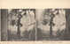 CPA Stéréo STERNWARTE, BAMBERG - ALLEMAGNE - Stereoscope Cards