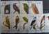 Sao Tome Et Principe 1983 Série 13 Oiseaux Birds - Collections, Lots & Series