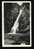 Glen Ellis Falls, Pinkham Notch, White Mountains, New Hampshire - White Mountains