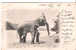 CPA - A CEYLON ELEPHANT - ELEPHANT D´ASIE - PRECURSEUR - 1904 - - Elefanti