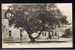 1914 Wrench Postcard Bailie Nicol Jarvie´s Tree & Poker Aberfoyle Perth Perthshire Scotland - Ref A13 - Perthshire