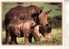 Rhinoceros Postcard - Carte Postale De Rhinoceros - Rhinozeros