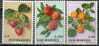 PIA - S.MAR - 1973 : Fruits - (Yv 837-46) - Unused Stamps