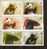 Romania 2008 MNH / Bears / 5 Val + Labels - Unused Stamps