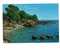 83 -  Lot De 3 Cartes De La Plage De Boulouris : Plage Aiguebonne - Boulouris