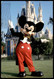 POSTKARTE WALT DISNEY WORLD USA MICKY MAUS MICKEY MOUSE Cinderella Castle Disneyworld Bei Orlando Postcard Ansichtskarte - Disneyworld