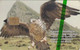 TC NEUVE NSB GIBRALTAR 800 EX - ANIMAL OISEAU Rapace AIGLE DE BONELLI - EAGLE Raptor BIRD MINT Chip Phonecard - Gibilterra