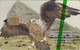 TC NEUVE NSB GIBRALTAR 800 EX - ANIMAL OISEAU Rapace AIGLE DE BONELLI - EAGLE Raptor BIRD MINT Chip Phonecard - Gibraltar