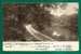 WILLIAMSON PARK ON THE CONESTOGA, LANCASTER, PA - VF VISIT CARD On PRINTED 1907 POSTCARD - MANY CANCELS - Lancaster