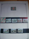 Delcampe - MONACO, COLLECTION ON ALBUM PAGES, USED / UNUSED, HIGH CATALOG VALUE! - Collections, Lots & Series
