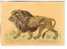 GOOD USSR / RUSSIA POSTCARD 1959 - Lion - Lions