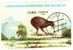 NEW ZEALAND 1990 Auckland Kiwi Vogel Kuba 3412 Plus Block 122 O 8€ Blocchi Hojita M/s Philatelic Bloc Bird Sheet Bf Cuba - Used Stamps