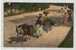 VINTAGE POSTCARD Ca1900 JAMAICA MARKET DONKEY - Giamaica