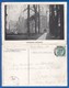 England; Winchester Cathedral; 1904 Doppelkarte; Faltkarte - Winchester