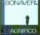 BONAVERI - MAGNIFICO - Disco & Pop