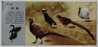 Black Swan,pheasant,Gracula Religiosa,Chrysolophus Pictus,Turkey Bird,CN02 Xinchang Rare Birds Breeding Industry PSC - Cygnes