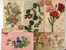 VINTAGE Ca1900 POSTCARD AK CPA LOT OF 10 VINTAGE POSTCARDS TOPIC FLOWERS - Otros & Sin Clasificación