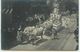 SUISSE VEVEY FETES DES VIGNERONS AOUT 1905 CARTE PHOTO DU SUPERBE CHAR DE LA REINE OU PRETRESSE ? - Vevey