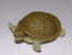 Mini Puzzleland - Turtle - Figurine Sans Bpz - Other & Unclassified