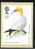 1989 GB PHQ Cards Set Of 4 - Birds - Ref 384 - PHQ Cards