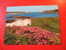 CPM - ANGLETERRE -NEW GRIMSBY CHANNEL,TRESCO ISLES OF SCILLY-CARTE EN BON ETAT. - Sonstige & Ohne Zuordnung