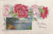 Postally Used Birthday Wishes Pink & Red Carnations And Lake Scene - Cumpleaños