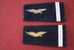 MILITARIA 2 EPAULETTES DE GRADE GALON MILITAIRE ARMEE DE L´AIR    A IDENTIFIER MERCI ? - Equipment