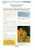 Reproduction De Mère Et Enfant, De Mary Cassatt (avec Fiche Explicative) - Andere & Zonder Classificatie