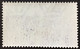 EGEO - SIMI - Sassone N.20 - Cat 70 Euro - MNH** - Gomma Integra - Ägäis (Simi)