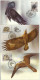 Russia USSR 1990 Maximum Cards X 3 Fauna Bird Birds Zoo Fund Zebra - Cartes Maximum