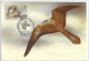 Russia USSR 1990 Maximum Cards X 3 Fauna Bird Birds Zoo Fund Zebra - Cartoline Maximum