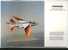 Delcampe - Calendriers 1987 DORNIER - Grand Format : 1981-90