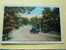 Beach Drive Indiana Dunes State Park, Gary IND. 1936 - Autres & Non Classés