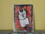 Carte  Basketball US 1992/93/94/95/96 -  Bullets - Juwan Howard - N° 148 - 2 Scan - Autres & Non Classés