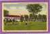 Hot Springs Golf And Country Club, Hot Springs National Park, Ark. 1940s - Hot Springs