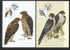 Ceska Rep.  2003  341/343  Max. Card  Set Of 3 *** - Eagles & Birds Of Prey