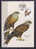 Ceska Rep.  2003  341/343  Max. Card  Set Of 3 *** - Eagles & Birds Of Prey