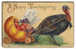Illustrator -  ELLEN CLAPSADDLE Thanksgiving Greeting TURKEY PULLS PUMPKIN CART 1909 - Clapsaddle