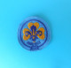 AGESCI  Associazione Guide E Scouts Cattolici Italiani - Italy Patch * Scouting Boy Scout Scoutisme Pfadfinder Scoutismo - Movimiento Scout