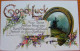 == GB - Card, Good Luck , Fortune You Birthday.. 1912  Windmühle Nach  Felixstone  , SAXONY - Covers & Documents