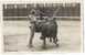 Madrid Toros De Madrid En 1922 Granero Foto Original De Tarjeta Fotógrafo S. Losarcos - Stierkampf