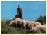 BERGER BOUC TROUPEAU MOUTONS PATURAGE Dans Nos MONTAGNES CPM 1980s  ¤ ADIA OF 1001 ¤ AGRICULTURE ¤ CPAGR 5302AA - Elevage