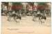 STEREOSCOPIQUE - VOITURE à AUTRUCHE Au JARDIN D´ACCLIMATATION - ZOO - ATTELAGE - BIRD - STEREOVIEW 1900's - Taxis & Droschken