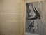 THE NATURAL HISTORY OF SELBORNE By GILBERT WHITE - GEORGE ROUTELEDGE & SONS LONDON - 1880 - Illustrations Illustré - Altri & Non Classificati