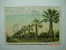 6600  UNITED STATES USA   FRESNO CALIFORNIA PALM AVENUE  YEARS  1903  OTHERS IN MY STORE - Fresno
