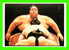 SUMO - LUTTE JAPONAISE - PAUL COOPER 1995 / THE BULK OF 284 KG DWARFS HIS OPPONENT - - Worstelen