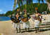 GUADELOUPE - Folklore Antillais - 3 Danseuses Du Groupe: "La Briscante" Sur La Plage - TBE, Carte Neuve, 2 Scans - Pointe A Pitre