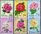 Rosenzucht 1979 Korea 1821/6,3ZD+Kleinbogen O 12€ Garten-Rosen Edelrose Strauchrose Bloc Hoja M/s Flower Sheet Bf Corea - Rosas